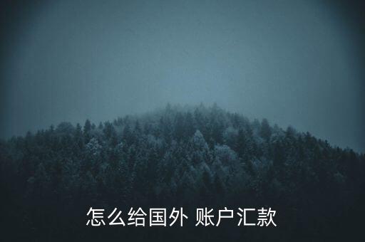 怎么給國外 賬戶匯款