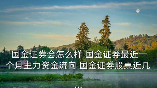  國金證券會怎么樣 國金證券最近一個月主力資金流向 國金證券股票近幾...