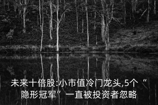 未來十倍股:小市值冷門龍頭,5個(gè)“隱形冠軍”一直被投資者忽略