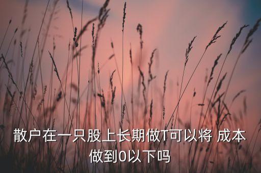 散戶(hù)在一只股上長(zhǎng)期做T可以將 成本做到0以下嗎