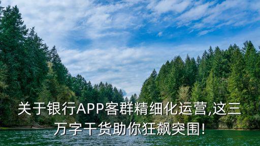 關(guān)于銀行APP客群精細(xì)化運營,這三萬字干貨助你狂飆突圍!