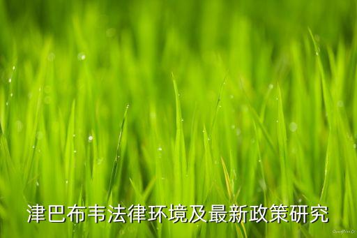 津巴布韋法律環(huán)境及最新政策研究