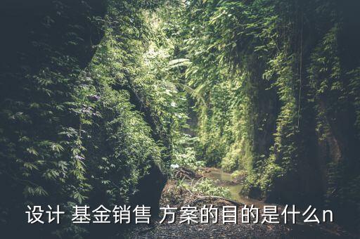 設(shè)計 基金銷售 方案的目的是什么n