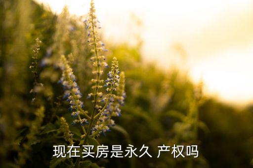 現(xiàn)在買房是永久 產(chǎn)權(quán)嗎