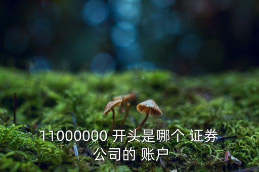 11000000 開頭是哪個 證券 公司的 賬戶