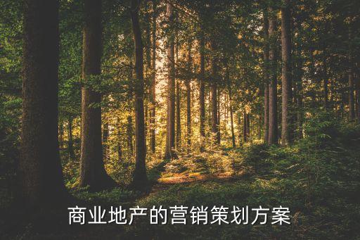 商業(yè)地產(chǎn)的營(yíng)銷(xiāo)策劃方案