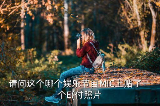 請問這個哪個娛樂節(jié)目MIC上貼了一個E(付照片