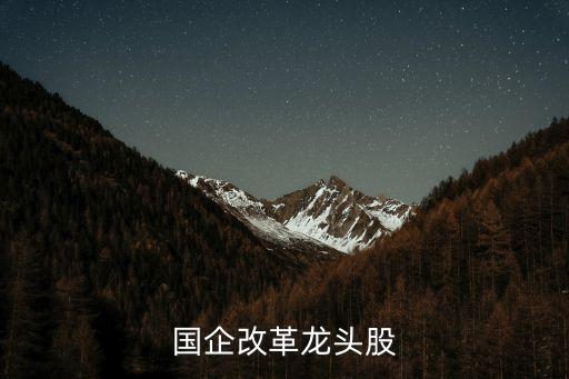 st中國遠(yuǎn)洋,中國遠(yuǎn)洋集團(tuán)領(lǐng)導(dǎo)名單