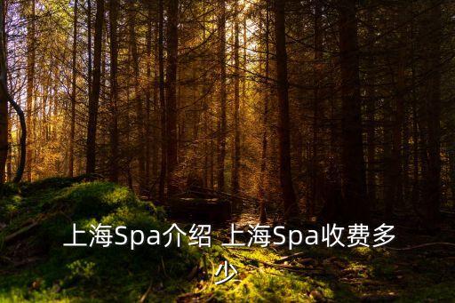  上海Spa介紹 上海Spa收費多少