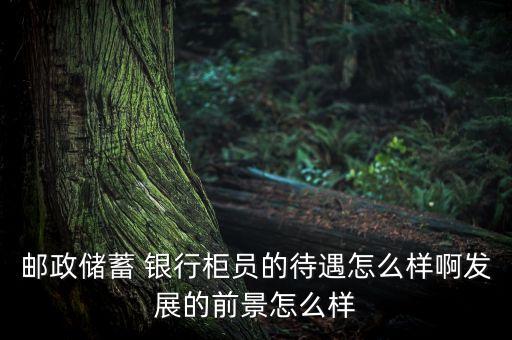 郵政儲(chǔ)蓄 銀行柜員的待遇怎么樣啊發(fā)展的前景怎么樣