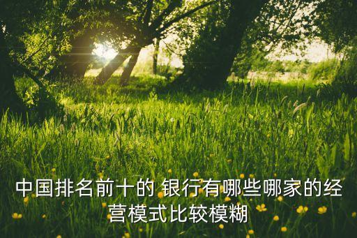 中國排名前十的 銀行有哪些哪家的經(jīng)營模式比較模糊