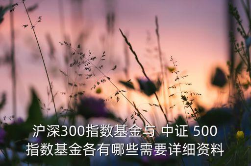 滬深300指數(shù)基金與 中證 500指數(shù)基金各有哪些需要詳細資料