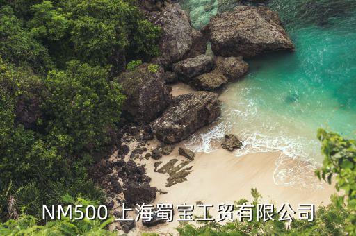 NM500 上海蜀寶工貿有限公司