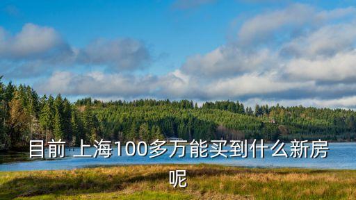 目前 上海100多萬(wàn)能買(mǎi)到什么新房呢