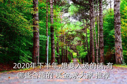 2020年下半年,想要入場的話,有哪些合適的 基金,求大家 推薦