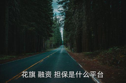 花旗 融資 擔保是什么平臺