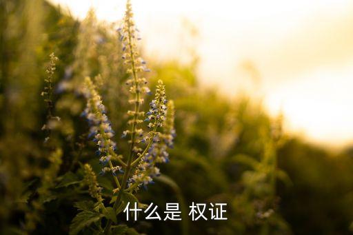 股票權(quán)證啥意思,股票全倉和半倉是什么意思