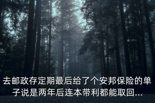 去郵政存定期最后給了個(gè)安邦保險(xiǎn)的單子說是兩年后連本帶利都能取回...