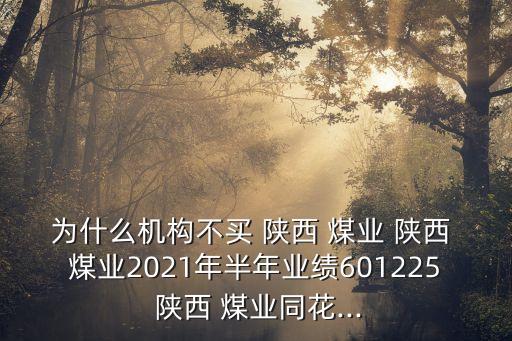 為什么機(jī)構(gòu)不買 陜西 煤業(yè) 陜西 煤業(yè)2021年半年業(yè)績601225 陜西 煤業(yè)同花...