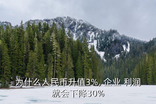 為什么人民幣升值3%, 企業(yè) 利潤就會(huì)下降30%