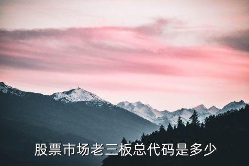  股票市場(chǎng)老三板總代碼是多少