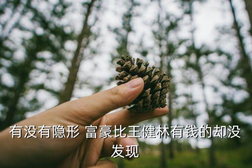 有沒(méi)有隱形 富豪比王健林有錢的卻沒(méi)發(fā)現(xiàn)