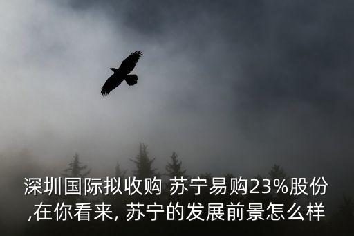 深圳國(guó)際擬收購 蘇寧易購23%股份,在你看來, 蘇寧的發(fā)展前景怎么樣