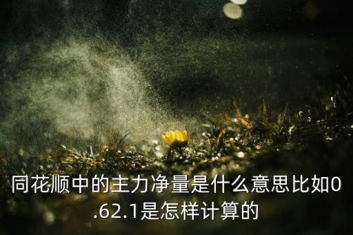 同花順中的主力凈量是什么意思比如0.62.1是怎樣計算的