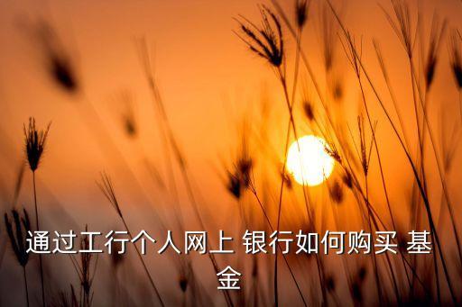 通過(guò)工行個(gè)人網(wǎng)上 銀行如何購(gòu)買(mǎi) 基金