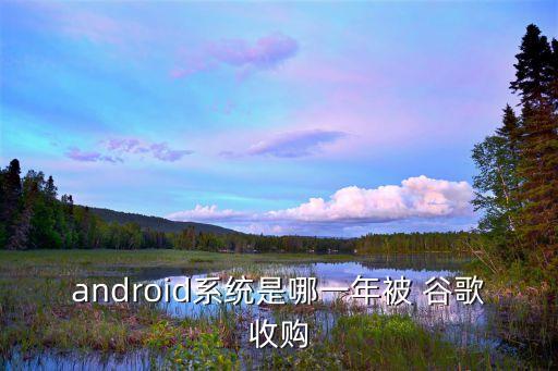 android系統(tǒng)是哪一年被 谷歌收購(gòu)