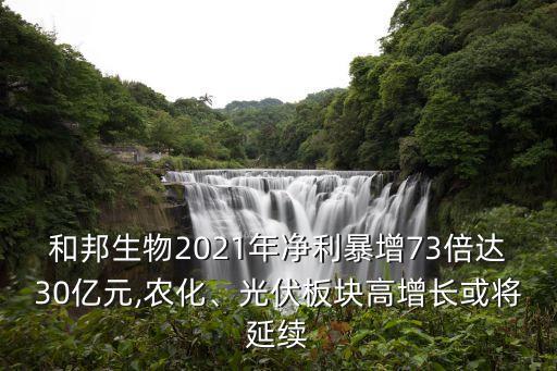 和邦生物2021年凈利暴增73倍達(dá)30億元,農(nóng)化、光伏板塊高增長或?qū)⒀永m(xù)