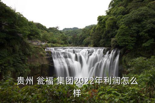 貴州 甕福 集團2022年利潤怎么樣