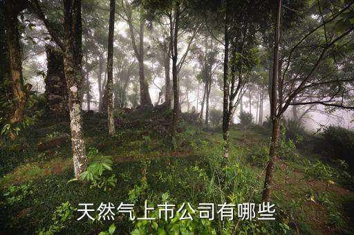 深圳燃?xì)夤善惫砂?新天然氣股票股吧