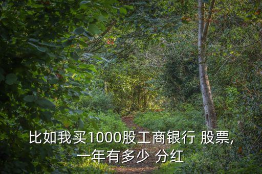 比如我買(mǎi)1000股工商銀行 股票,一年有多少 分紅