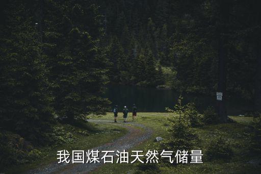 我國煤石油天然氣儲量