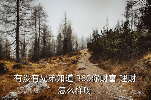 有沒有兄弟知道 360你財(cái)富 理財(cái)怎么樣呀