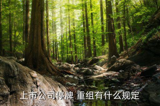 重組暫停審核的股票,股票重組審核通過(guò)到批準(zhǔn)要多久