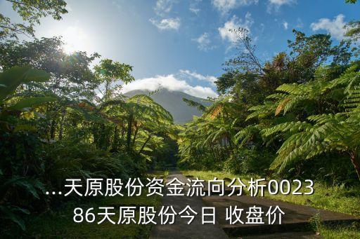 ...天原股份資金流向分析002386天原股份今日 收盤價(jià)