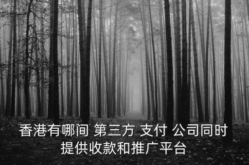 香港有哪間 第三方 支付 公司同時(shí)提供收款和推廣平臺(tái)