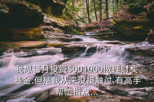 我想每月投資5001000做理財(cái)買 基金.但是我從來沒接觸過.有高手幫忙指點(diǎn)...