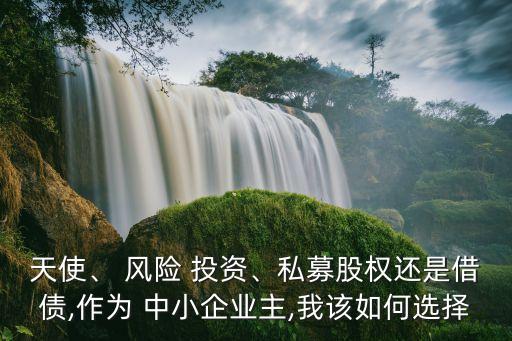 天使、 風險 投資、私募股權還是借債,作為 中小企業(yè)主,我該如何選擇