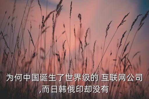 為何中國誕生了世界級的 互聯(lián)網(wǎng)公司,而日韓俄印卻沒有