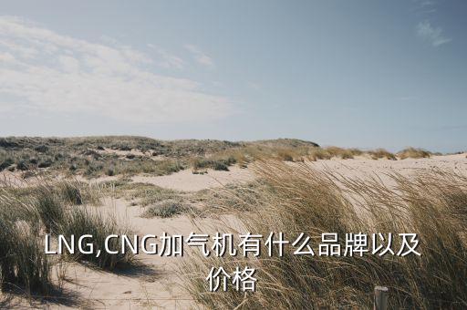 LNG,CNG加氣機(jī)有什么品牌以及價格