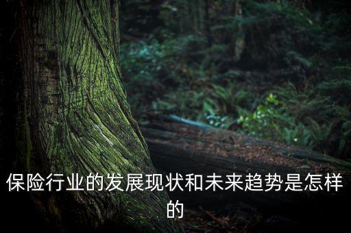 保險(xiǎn)行業(yè)的發(fā)展現(xiàn)狀和未來(lái)趨勢(shì)是怎樣的