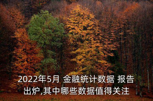 2022年5月 金融統(tǒng)計數(shù)據(jù) 報告出爐,其中哪些數(shù)據(jù)值得關(guān)注