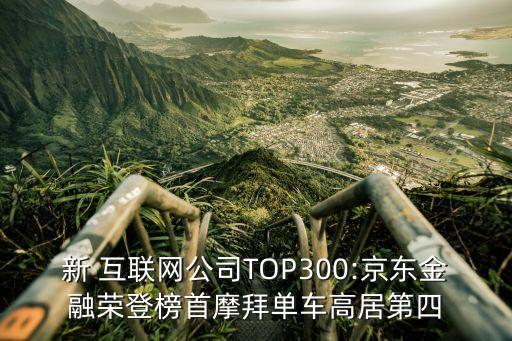 新 互聯(lián)網(wǎng)公司TOP300:京東金融榮登榜首摩拜單車(chē)高居第四