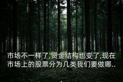 市場不一樣了,資金結(jié)構(gòu)也變了,現(xiàn)在市場上的股票分為幾類我們要做哪...