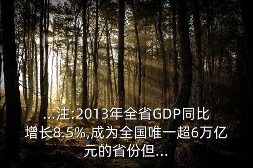 ...注:2013年全省GDP同比增長(zhǎng)8.5%,成為全國(guó)唯一超6萬億元的省份但...