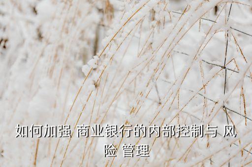 商業(yè)銀行風(fēng)險(xiǎn)管理指引