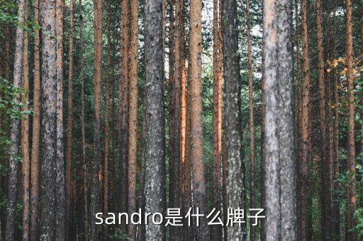 sandro是什么牌子